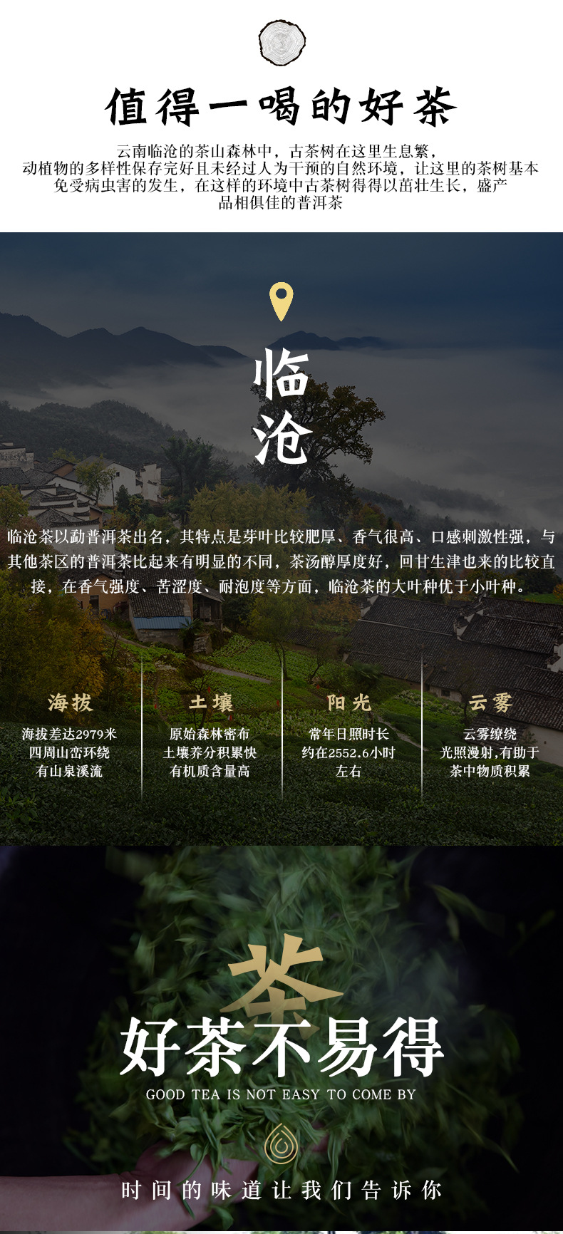 十年陈茶详情页_03.jpg