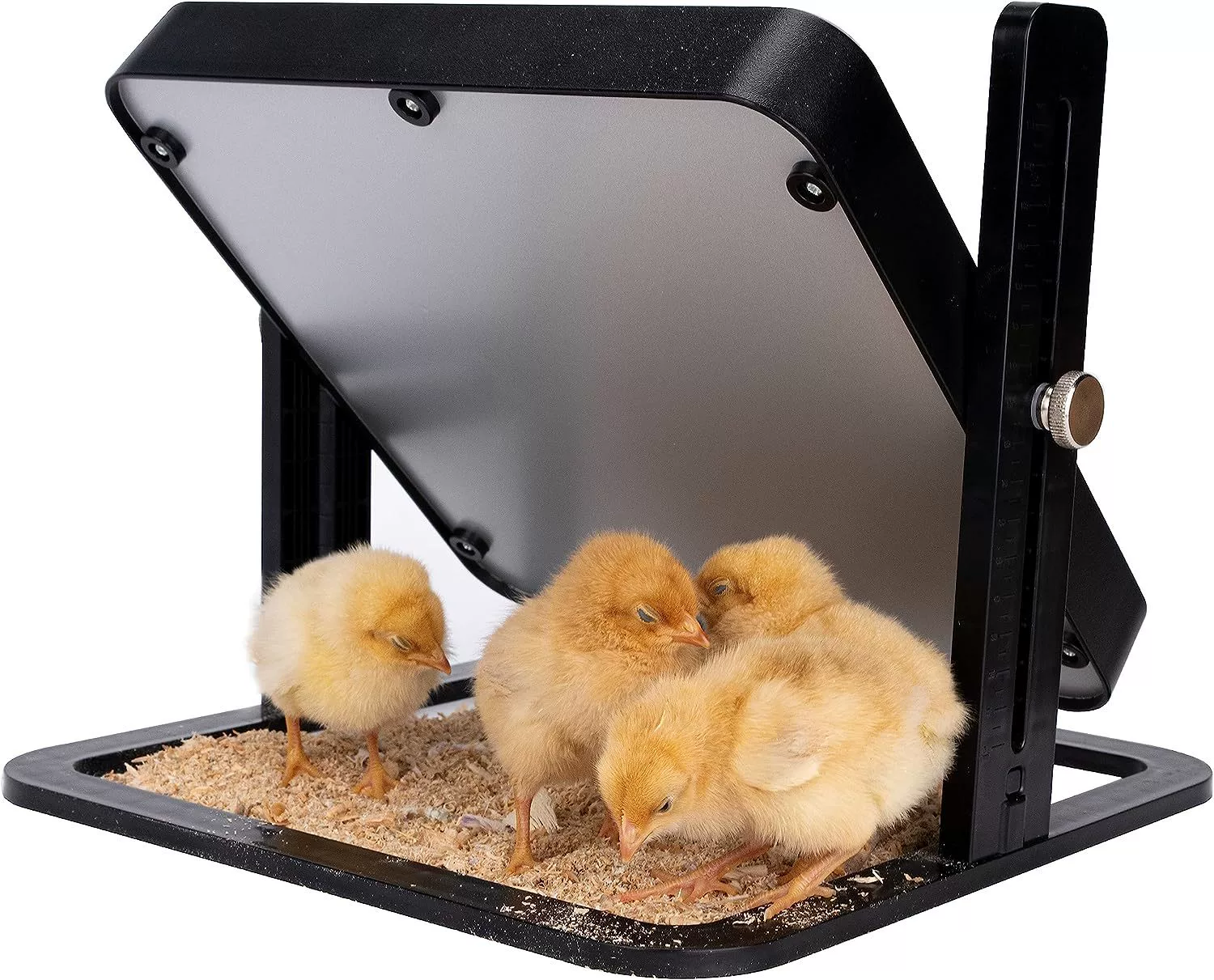 Новый задумчивый павильон курица перепела разведение подогреватель ПЭТ нагревательная пластина интеллектуальная постоянная температура обогрева домашних животных