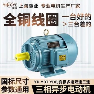 ׃�O����YDT/YD132S-8/4 2.2/3.3kw YD160M-8/4 5/7.5kw�p��늙C