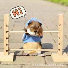 �羳ľ�Ƅ������U���{���߶�����Ӗ�����U�܂}���z���������