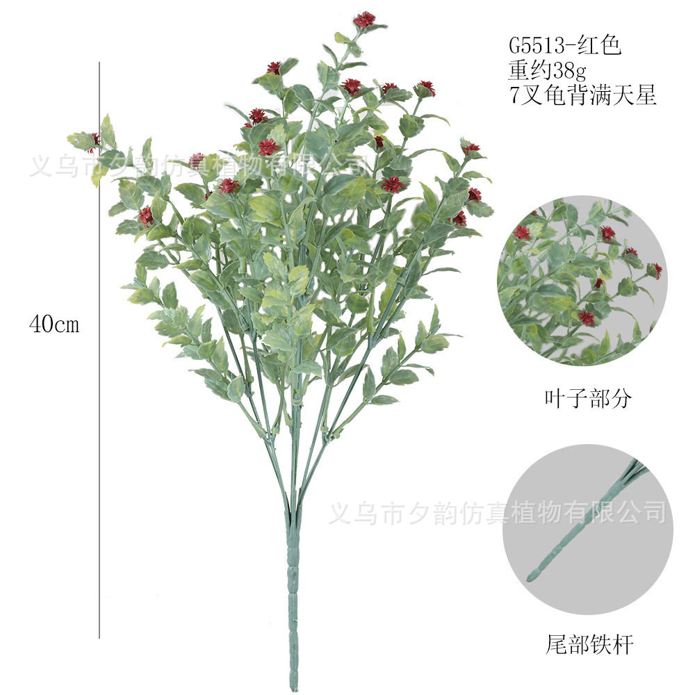 G5513-밀크레드 7갈래 거북등 안개꽃