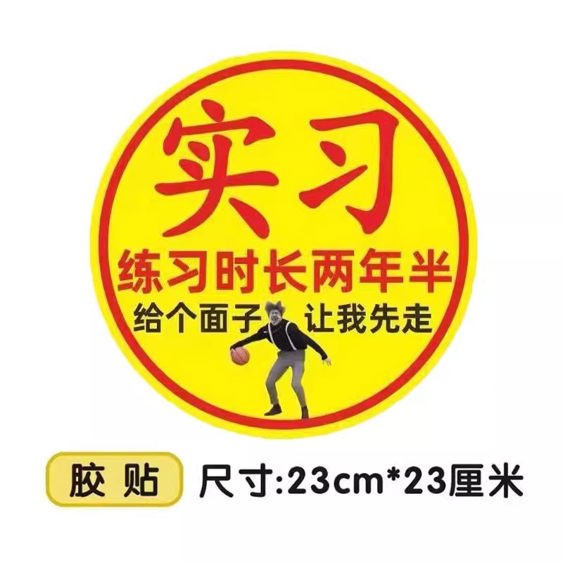 Adhesive version/ 23cm [practice lasted two and a half years]