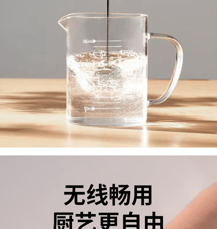 电动奶泡打蛋器Type-C304不锈钢三档动力调节充电式快充手持式