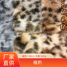 �F؛С�������y�që�q���ϸ�����ë���y���bЬ������ϻ��y�q����