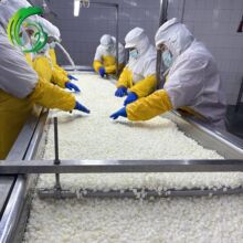 ������[�� 10MM ���Sֱ�� �䰸�Nֲ���� �����ձ��n�� HACCP BRC