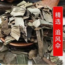 追风草 追风伞 冷背中药材齐全 接骨丹 一支伞 支持药检 代磨粉
