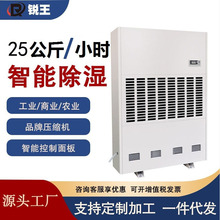 銳王大型商場除濕機600L/D除濕器干燥抽濕機地下室吸濕器