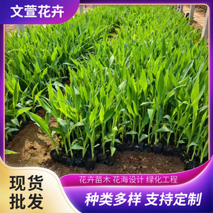 ˮ�����˽��N���ؾG��ˮ�w�G�������G���������˽�С��������l