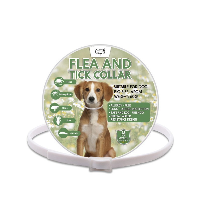 강아지용 흰색 목걸이