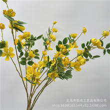 �S�ɻ������S�L�ٻ��҃ȿ͏d�廨�[������С�黨�b����P�[�O��