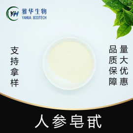 人参皂甙  雅华生物 CAS 52286-59-6 人参提取物 人参皂苷