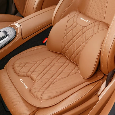 Headrest: Pro, Song Max, Qin Plus/E3E2E9 Lumbar - byd-1-seat-cushion-1-lumbar-support-golden-scale-orange