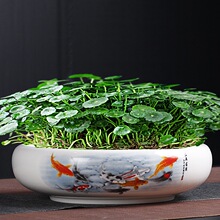 ��ڏ��~�X�ݻ����մ�ˮ�ɻ�����ɏ�G�}�o�׽��X��С̖ˮ����