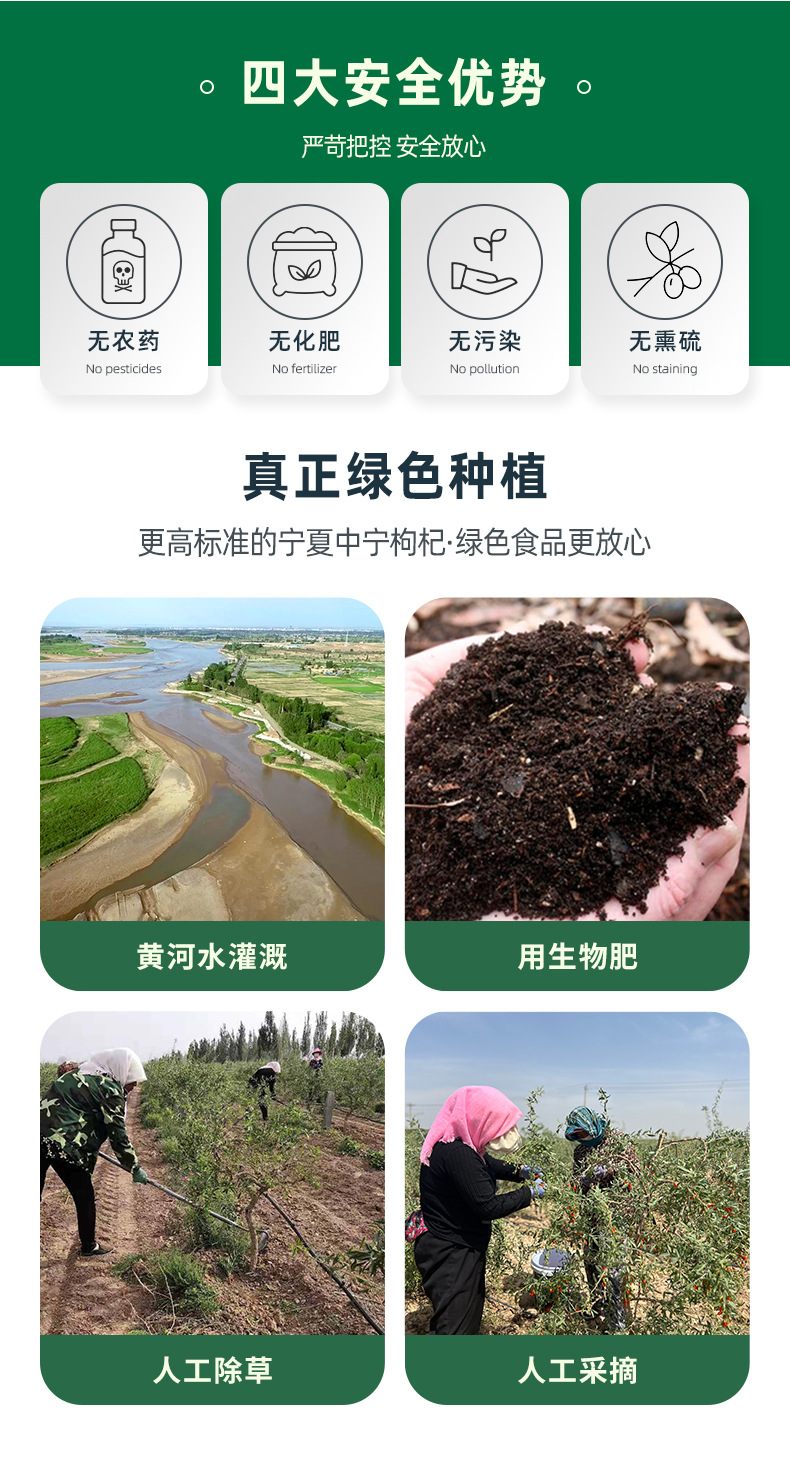 Zhongning Goji Berries Gou Qi Zi Portable Individual Sachets Unsulfured Dried Red Goji Berries 250g key features