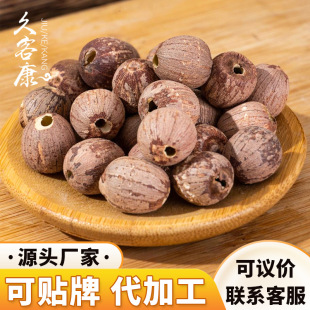 �S��2024���r������̶�خaɏ��ȥо�o���ɏ����ɏȥ�ļtƤ�tɏ��