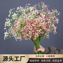 ins�¿��֧���z�M���Ƿ��滨�Ҿ��b�c��ˇ�ֹ�DIY����������