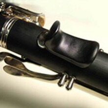 �λɹ��p�ɹ� �ڹ�ָ���������� ָ�� ��� ���w���W