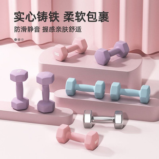 Plastic-Coated Solid Cast Iron Dumbbell Gym Women's Exercise Hexagonal Home Fitness Equipment Small Dumbbell 2kg
