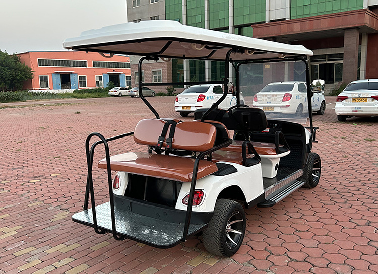 Electric Golf Cart, Four-Wheel Sightseeing Car, Campus, Factory, Property, Scenic Spot Shuttle Bus, Golf Cart
