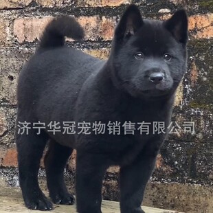 ���N�������Ȯ���w�������������Ȯ���@Ȯ��������С������