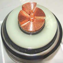 �X���X��|���Xо�߉���|_110kV