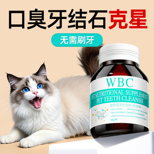 Cat Dental Calculus and Bad Breath Removal Oral Cleaning Powder 50g Dog Oral Teeth Cleaning Powder Pet Cat