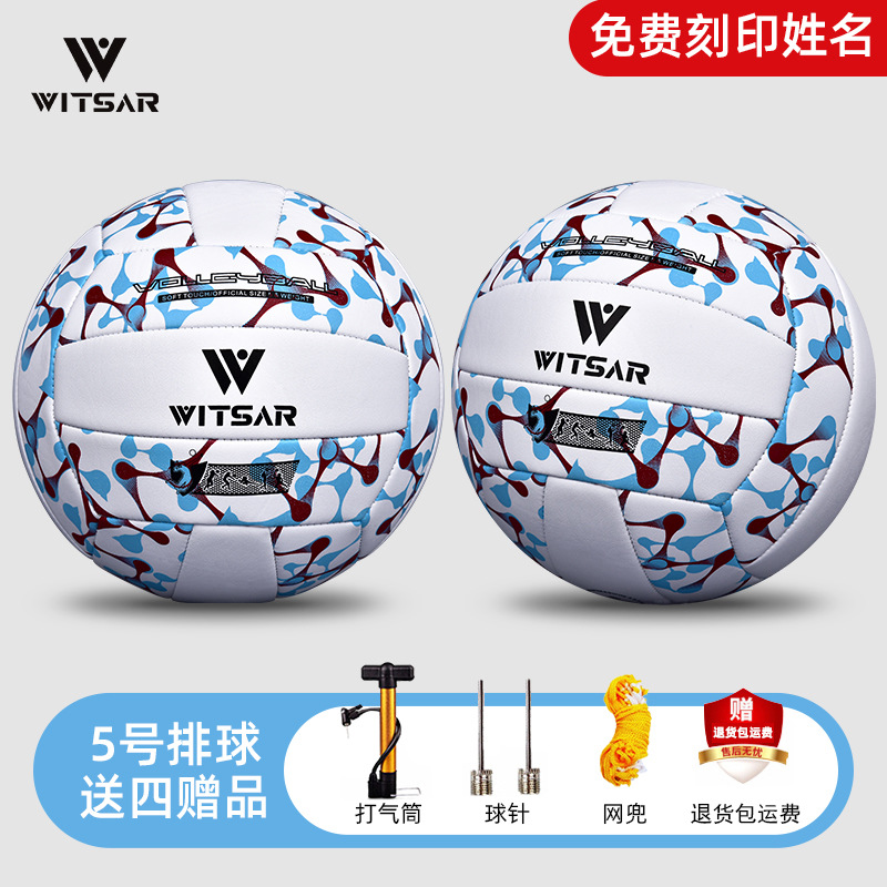Printed blue and white no. 5 [free printing] [free pump + ball needle + net bag]