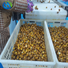 ɽș�����Ǻ��J���ǙC�� ȫ�Ԅ����ǃ���ɽș��ɽș�����ǙC�O��