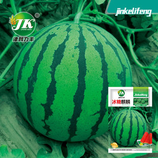 �S�����l�����������ϷN�ӈA�μt�ľ���ˮ���N��8424���ļ��˷N��