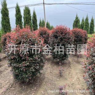 �t�~����1-2����֦�t�~���Ƭ���͘�ͥԺ���~�����G�h�������