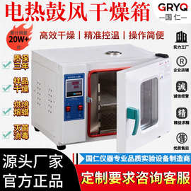 电热鼓风干燥箱高温加热小型工业级烤箱恒温烘干机实验室烘箱厂家