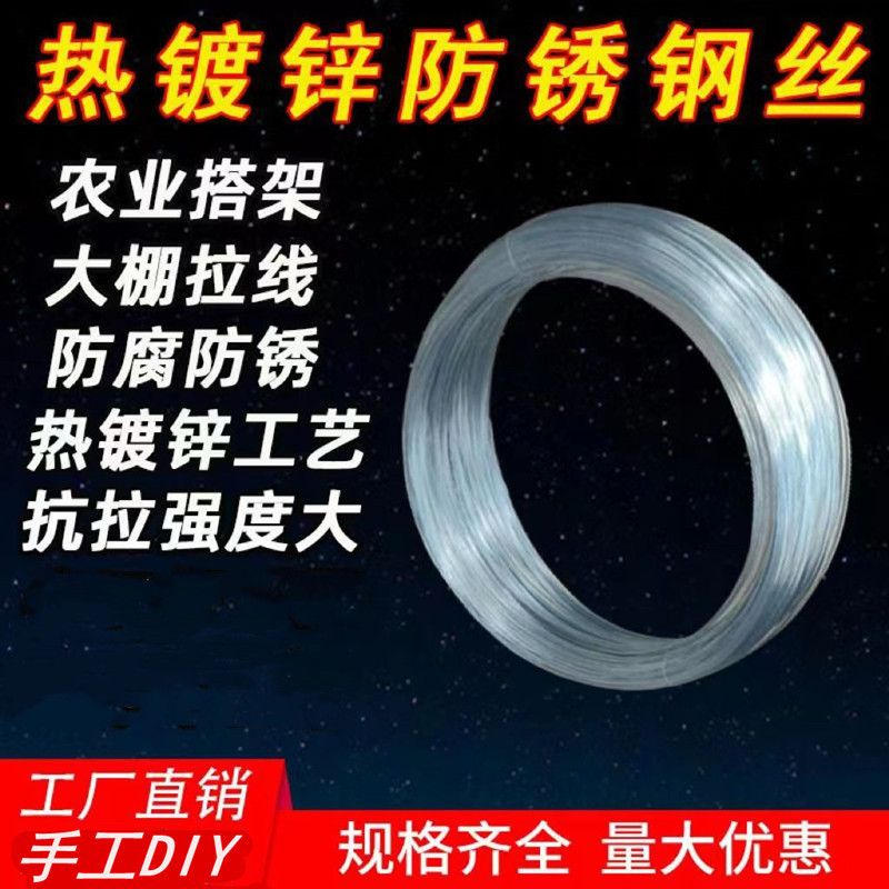 搭棚热镀锌盆景造型专用铁丝工艺品封窗神器细铁丝葡萄树可塑性