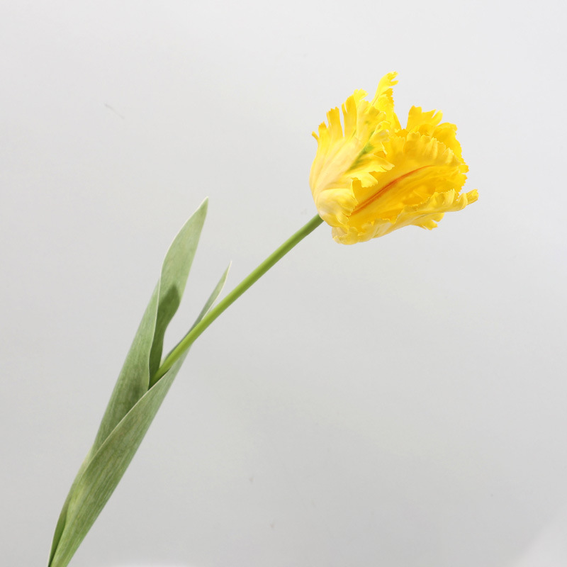 노란색