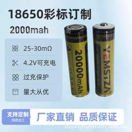 彩标18650高容量2000mah锂电池手电筒电动替换工具套装电池