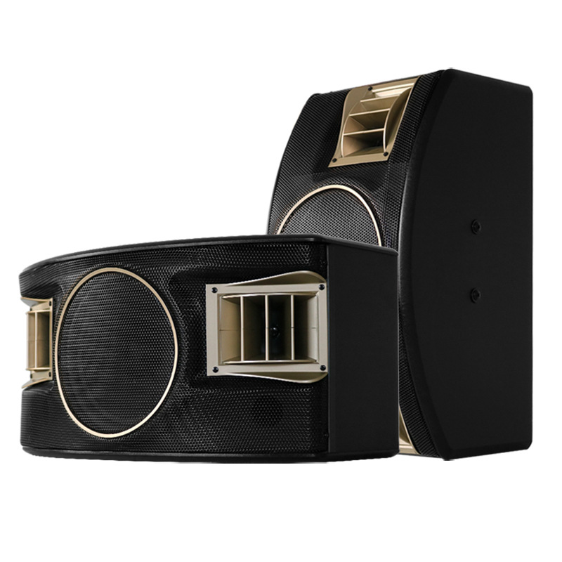 Al por mayor personalizado BMB 10-pulgadas titular de la tarjeta profesional altavoz al aire libre transmisión en vivo karaoke en casa familia KTV audio traje