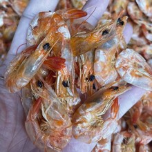 ���r�İ��r!�������خa���r�ɼ�ʳ���Ɍ��r���ЋD������ʳ