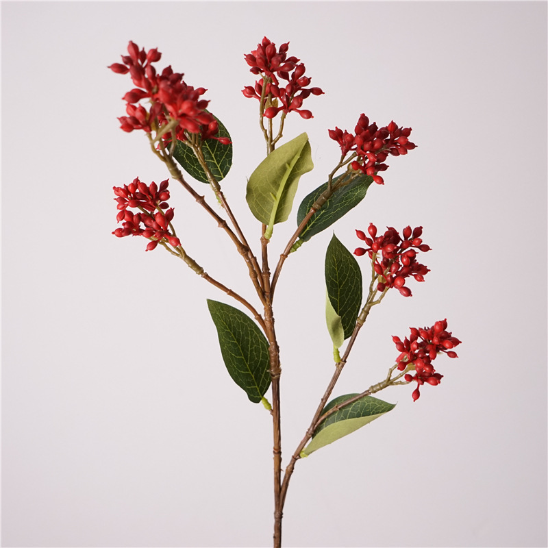 Fruta silvestre japonesa-Rojo