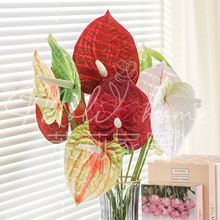 3D��ӡ�^��ɏ��t�Ʋ廨�zӰ����ֲ���쾰���滨�軨�ܼҾ��b��