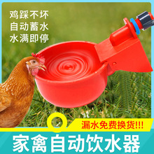新款家禽自动饮水器家用喂鸡食槽小鸡饮水碗鸽子自动喂水神器