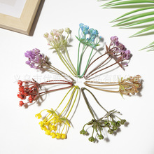 ����ˮ���ֹ��������Ϸ���ݷ��滨����Gֲ�b[�P�~�ӾG�~���