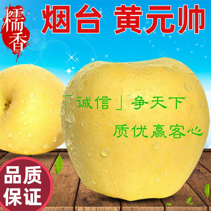 厂家现货黄金帅苹果 5斤粉面软面黄元帅 整箱辅食新鲜黄元帅苹果
