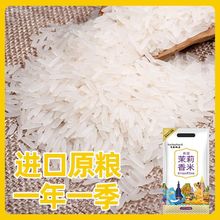 泰國茉莉香米原糧進口正宗超長長粒香米貓牙米象牙米新米大米批發