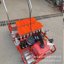 �ӱ����rƤ���ֲ��N�C �S���ѹ�Ӣ�����C ޽�㵤���Nֲ�C