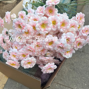6�^ܽ�ط��滨 ��c��ܽ�ػ���Y���b����廨·�����żҾӔ[��
