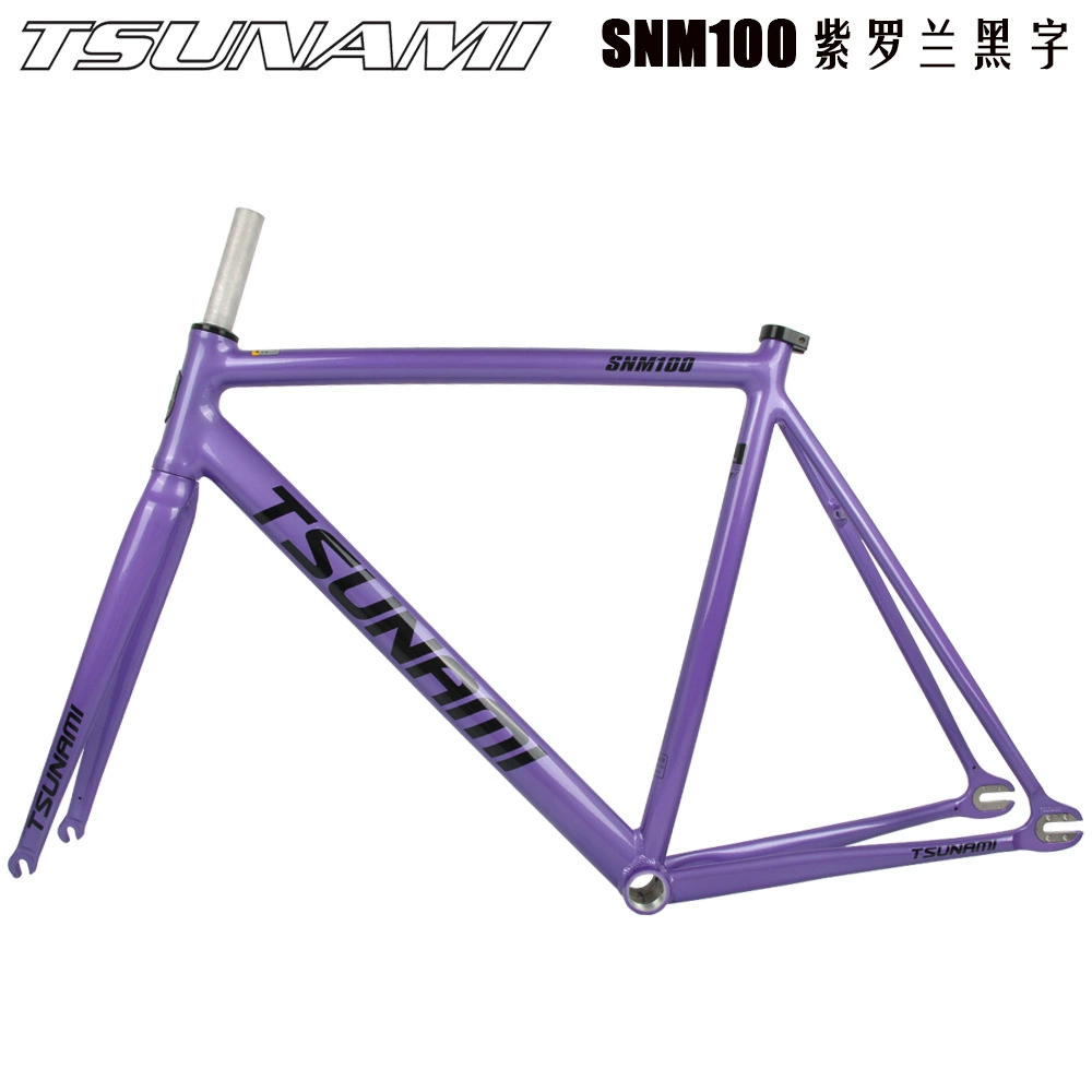  TSUNAMI Tsunami Summy SNM100 Pioneer Dead Flying Aluminum Alloy Racing Site Bicycle frame