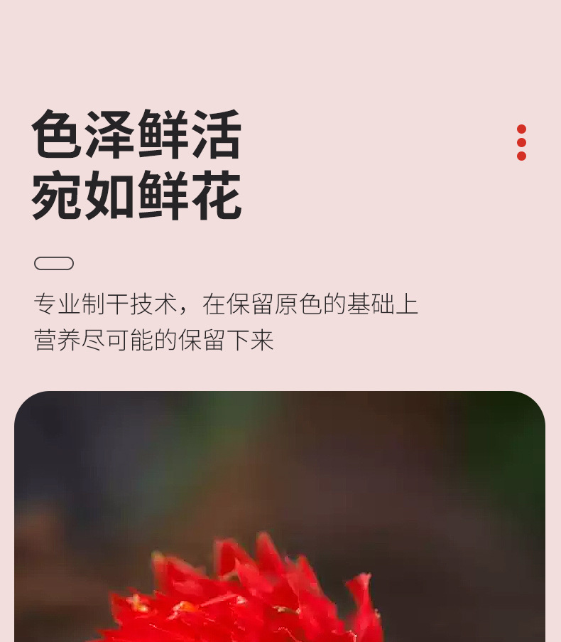 Dried Red Peach Blossom Tea Hong Qiao Mei 500g Loose Flower Buds for Herbal Tea and Decoration specifications