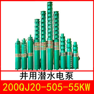 200QJ20-505/38 ���Ý�ˮ늱� ��� QJR��ˮ�� ��ʽ�༉��