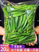 黄秋葵干秋葵脆果蔬脆片即食袋装散装脱水蔬菜干500g休闲解馋零食