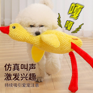 ������߽␞��ҧĥ���lС����Ȯ�»���ë����Ȯ�������Ʒ