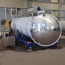 草莓榴莲无花果秋葵冷冻干燥机 宠物零食冷冻干燥机